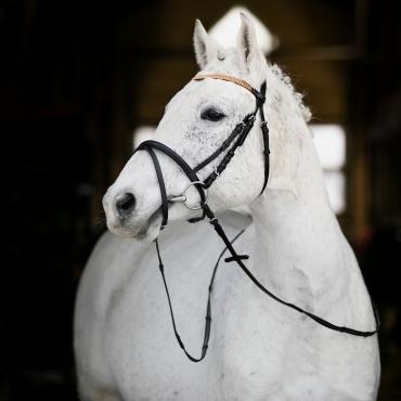 Adjustable Hunting Breastplate